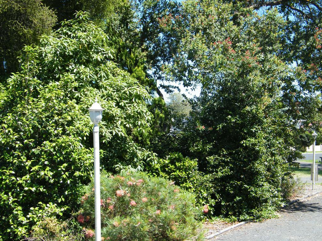 Bega Caravan Park Bagian luar foto
