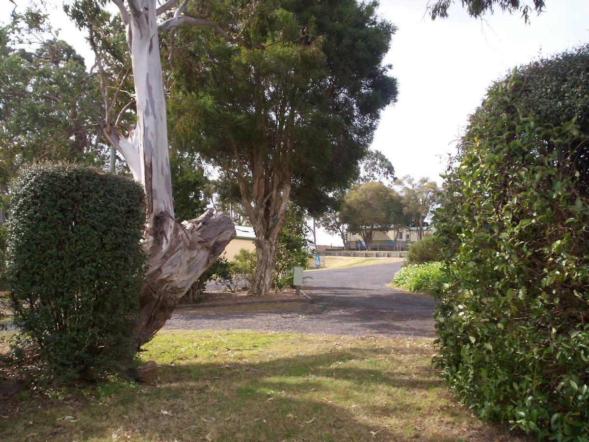Bega Caravan Park Bagian luar foto